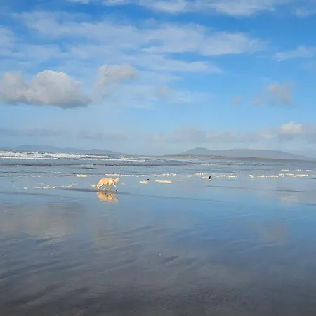 Peggy's * Louisburgh